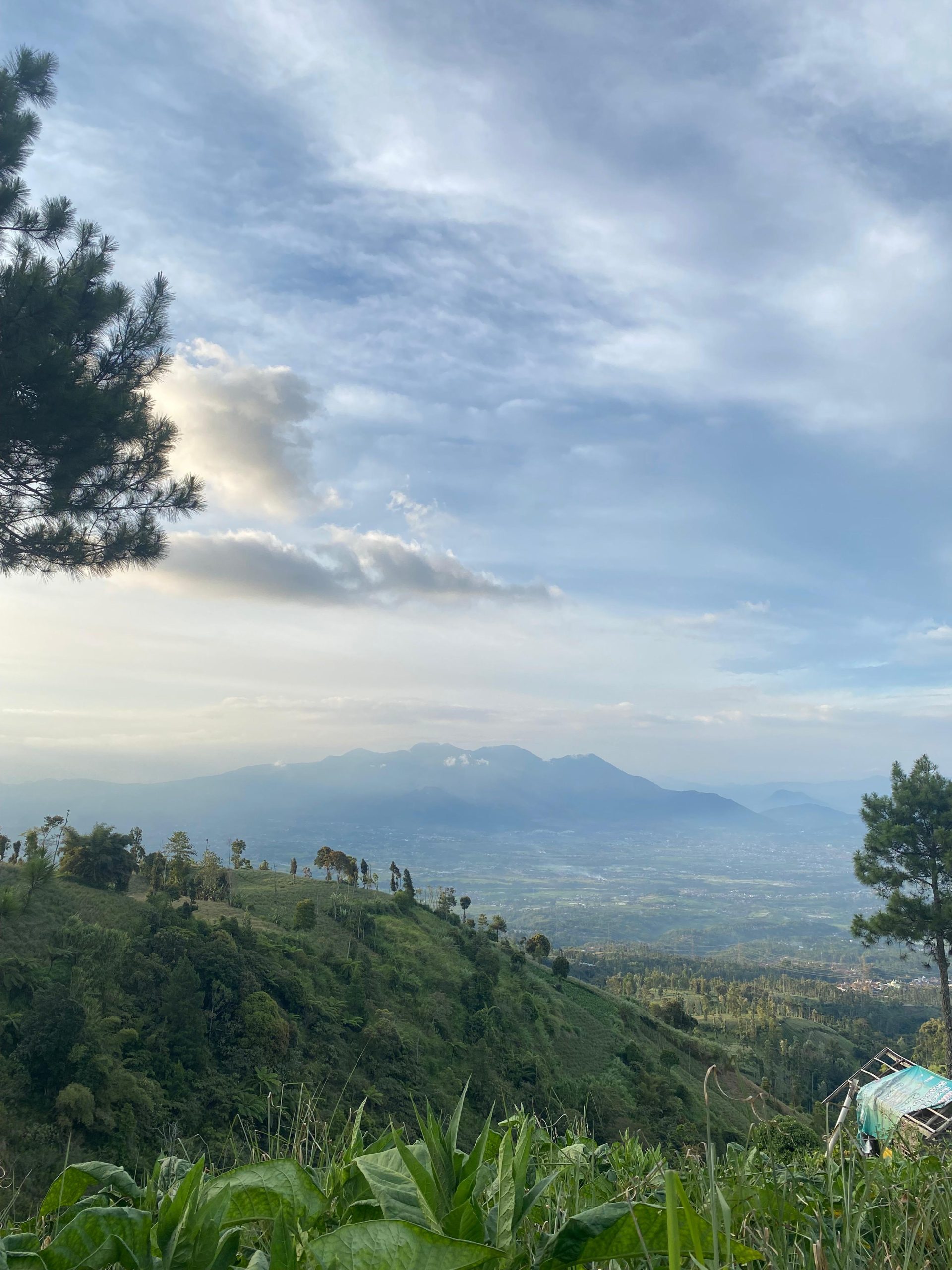 WhatsApp Image 2025-11-15 at 12.57.48 (2)